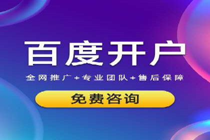 某公司SEO与SEM整合营销的全程记录